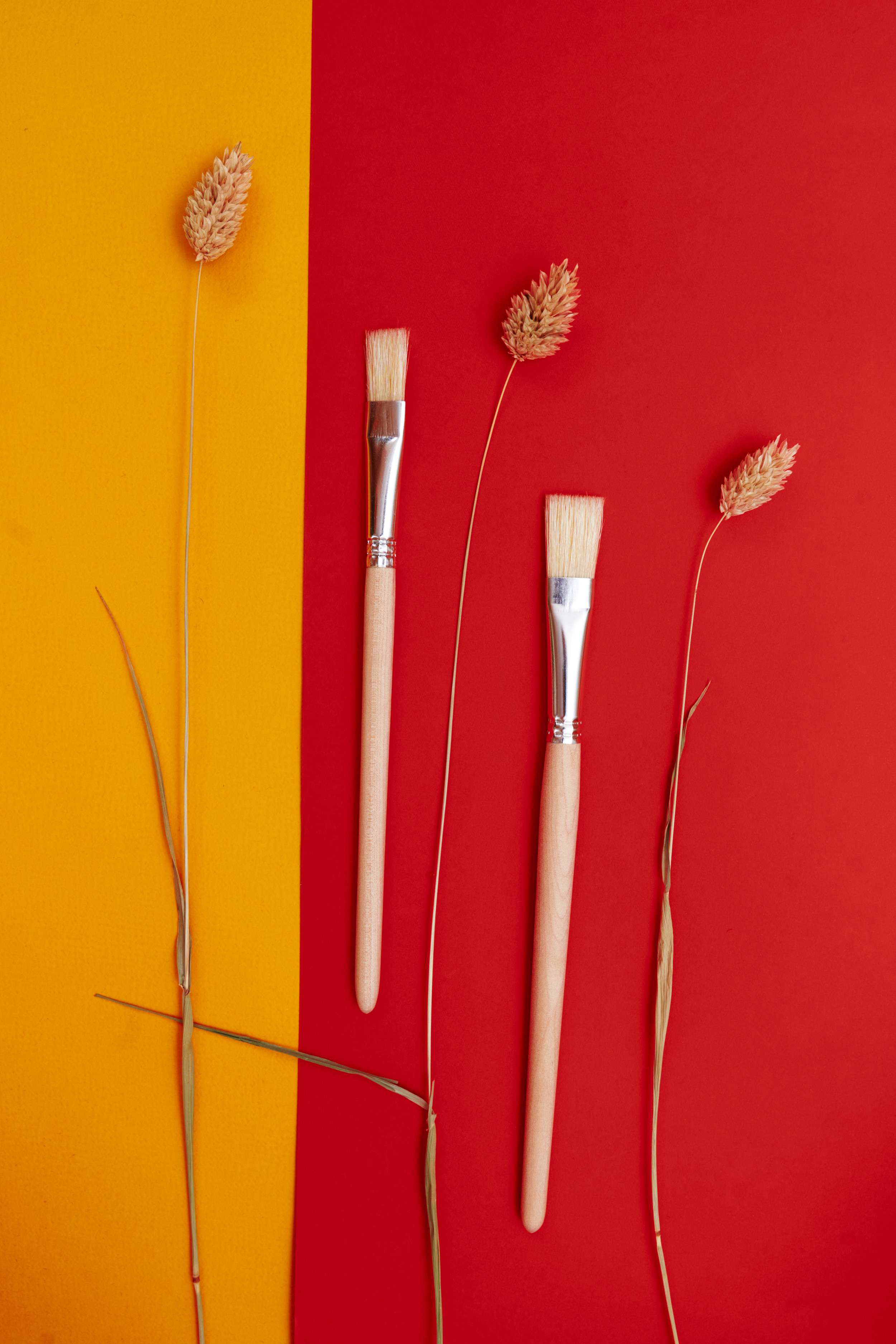 Щетина плоская