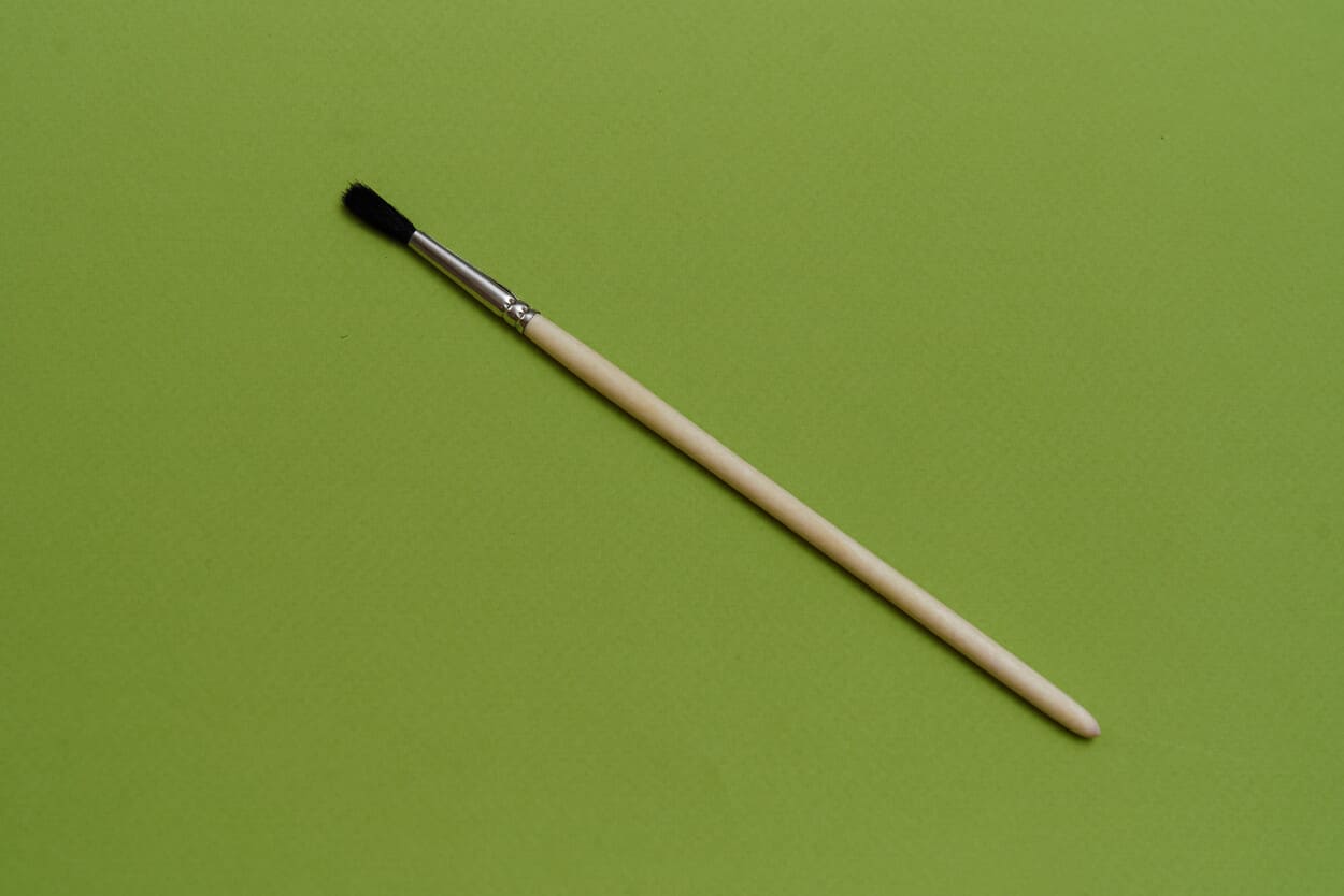 Белка круглая