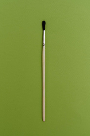 Белка круглая