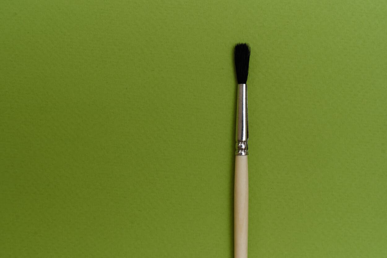 Белка круглая