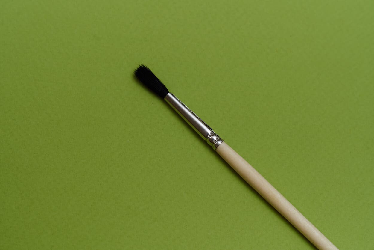 Белка круглая