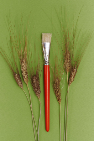 Щетина плоская окрашеная ручка