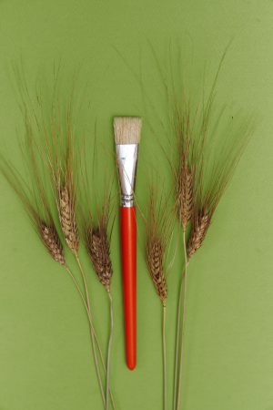 Щетина плоская окрашеная ручка