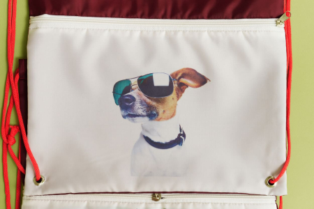 Сумка для обуви с рисуноком