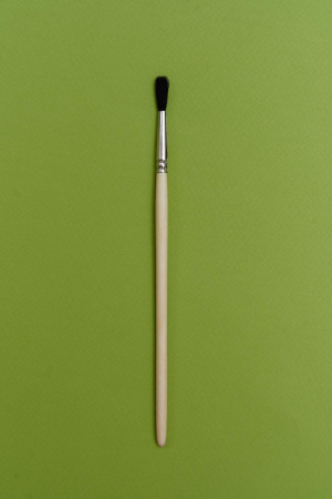 Белка круглая